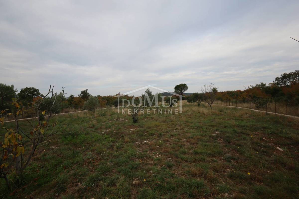 House For sale - ZADARSKA POLAČA