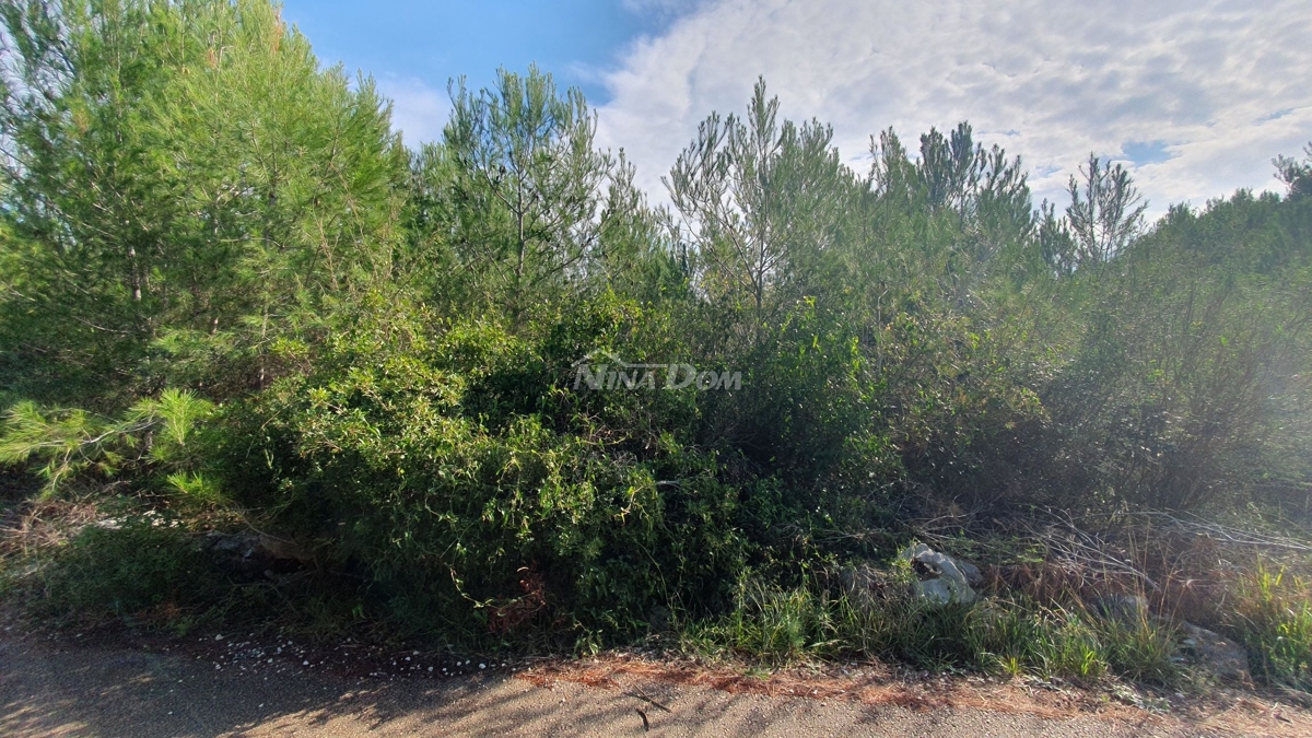Land For sale - Zadarska Vir - foto 3/8