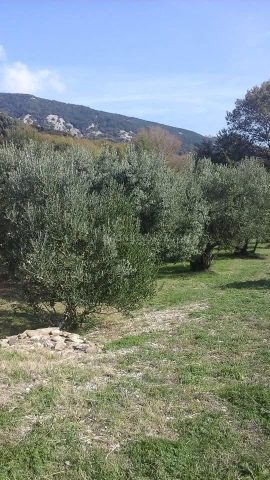 Parcela Naprodaj - Primorsko-goranska Krk - foto 2/9