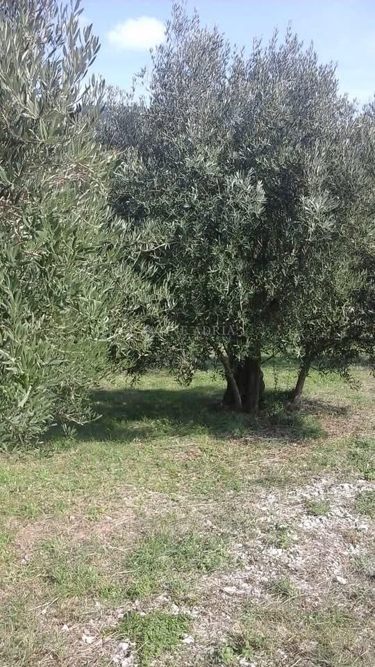 Parcela Na predaj - Primorsko-goranska Krk - foto 1/9