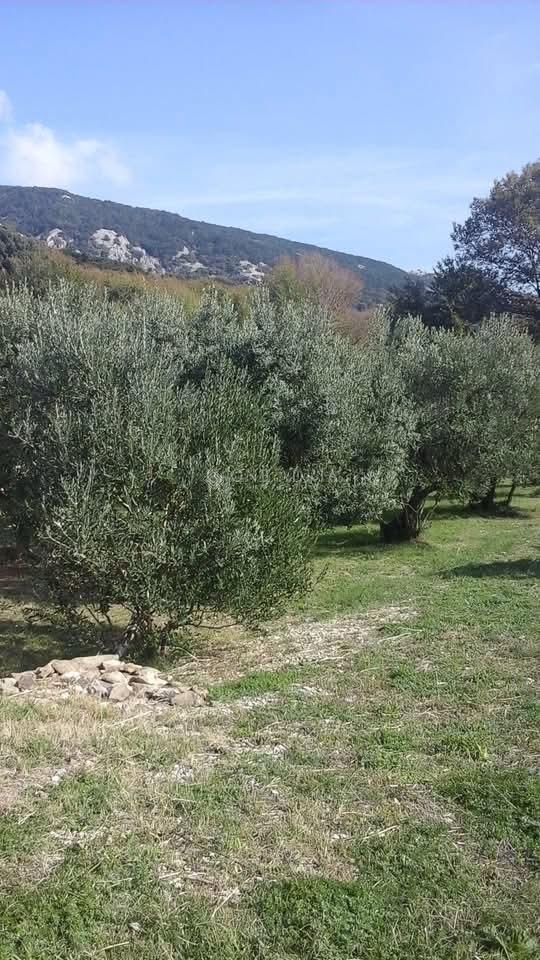 Parcela Na predaj - Primorsko-goranska Krk - foto 2/9