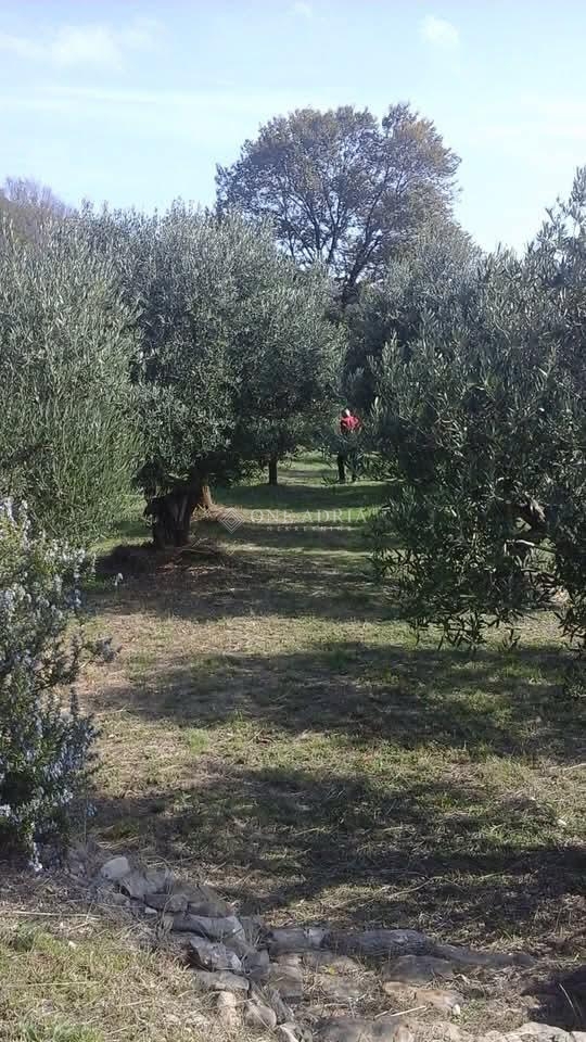 Parcela Na predaj - Primorsko-goranska Krk - foto 3/9