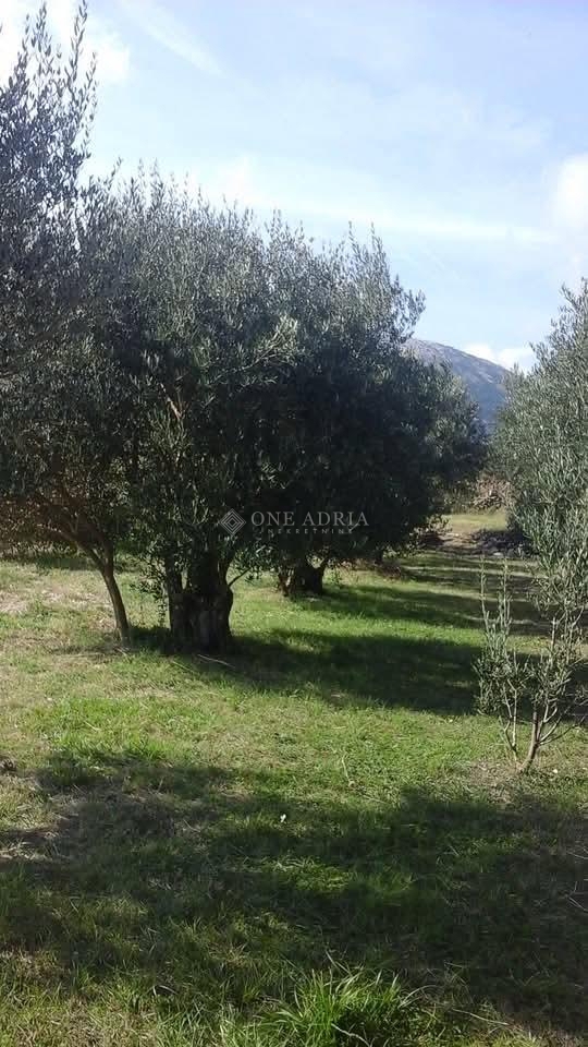 Parcela Na predaj - Primorsko-goranska Krk - foto 5/9