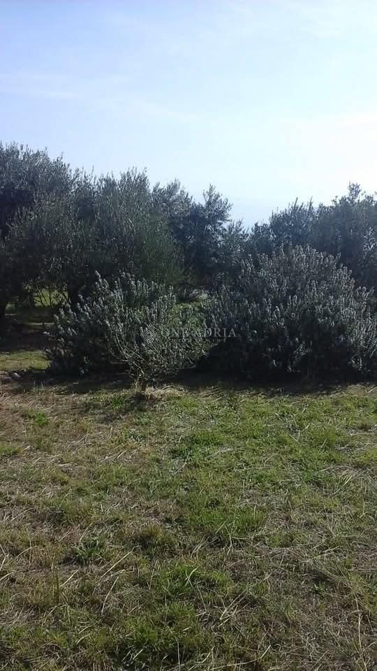 Parcela Na predaj - PRIMORSKO-GORANSKA KRK