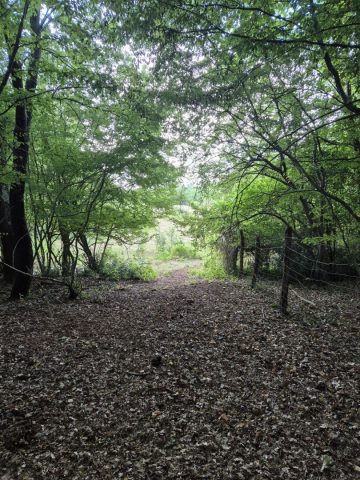 Zemljište na prodaju 24118 m² – Kaštelir