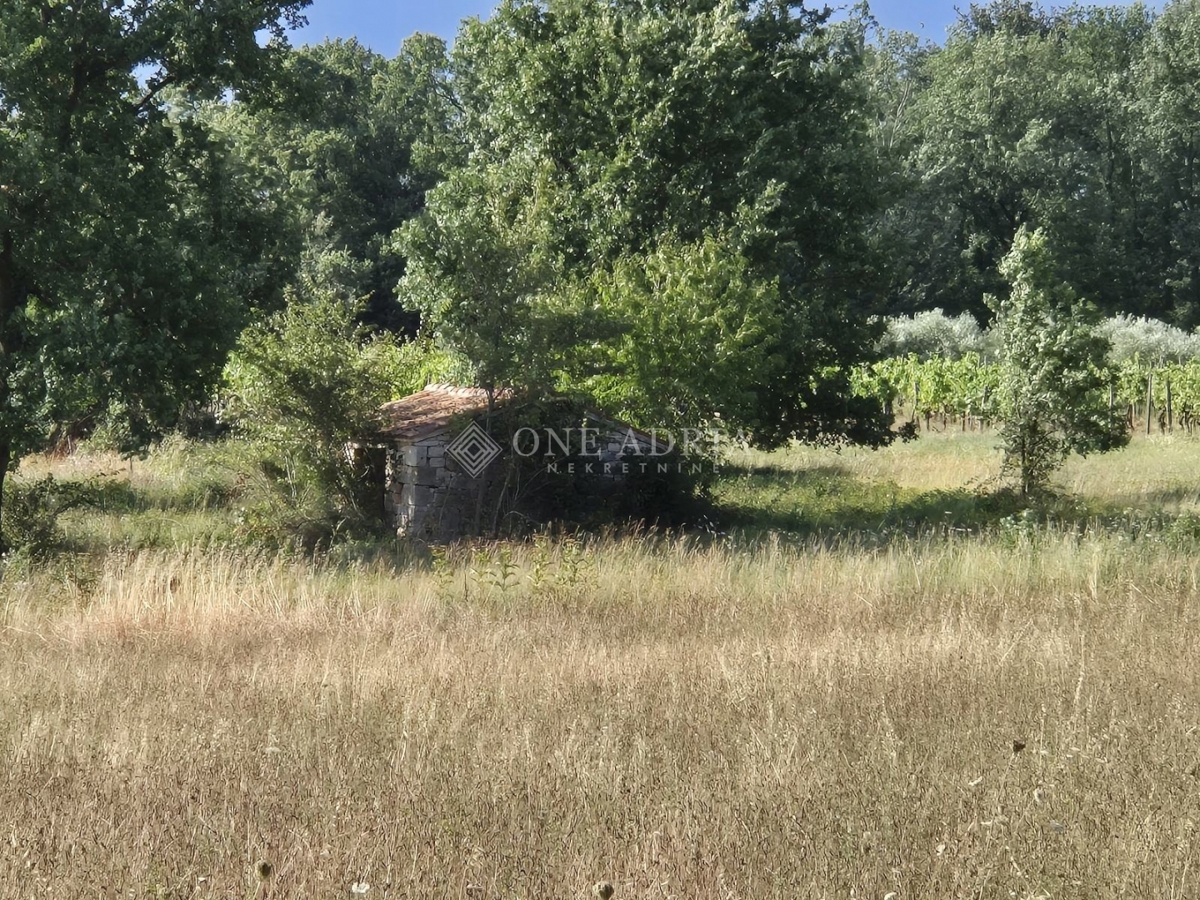 Terreno In vendita - ISTARSKA KAŠTELIR