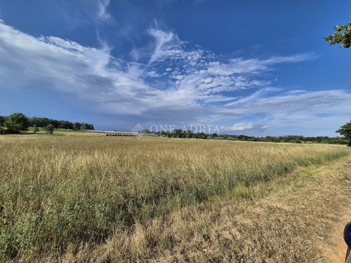 Terreno In vendita - ISTARSKA KAŠTELIR