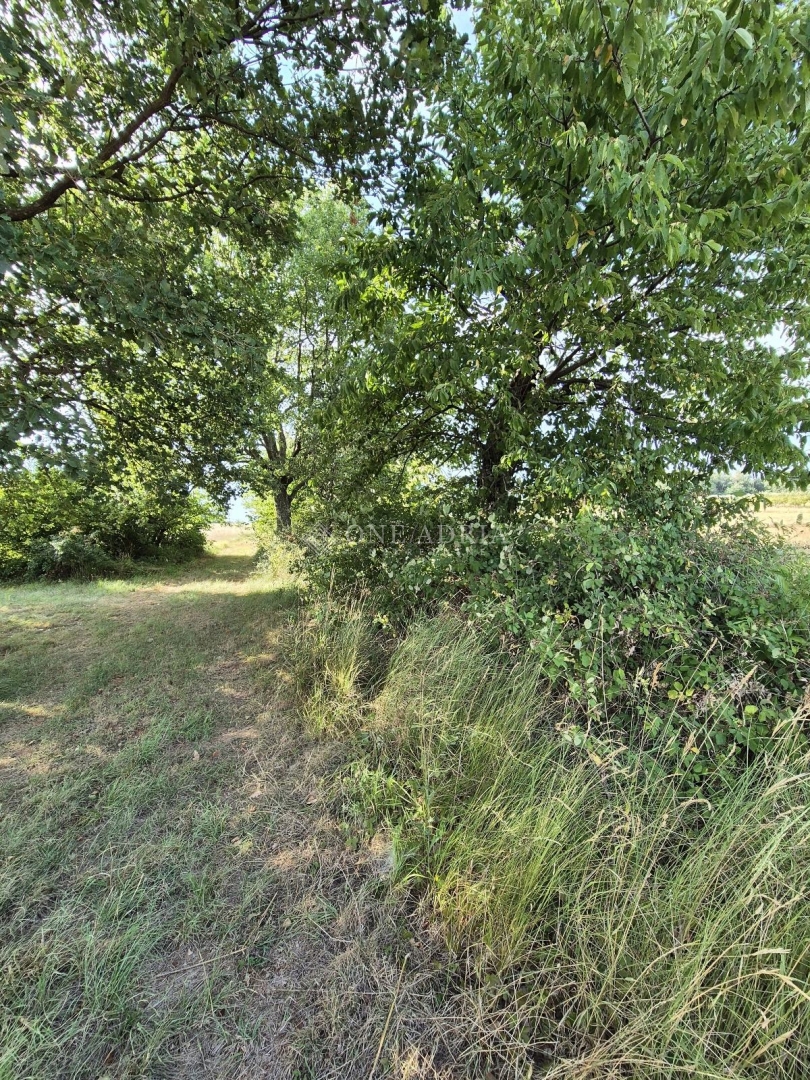 Terreno In vendita - ISTARSKA KAŠTELIR