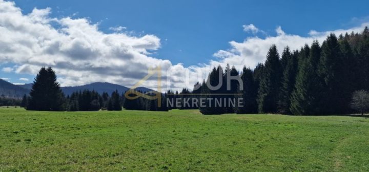 Terrain à vendre 13494 m² – Ravna Gora