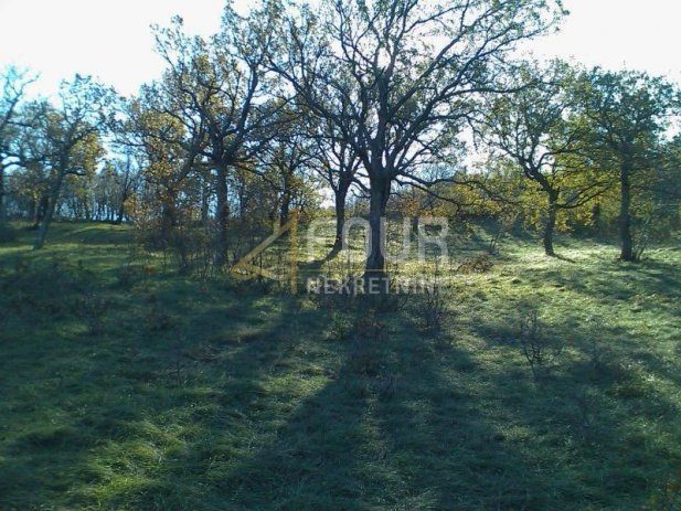 Terrain à vendre 7768 m² – Bakar