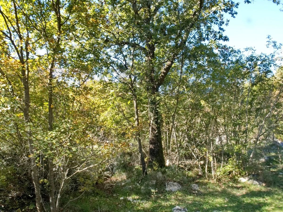 Terrain À vendre - Primorsko-goranska Krk - foto 1/2