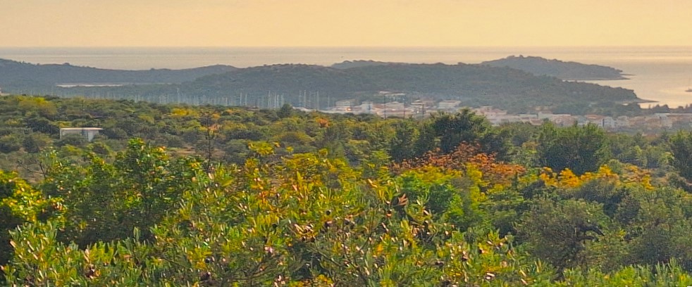 Zemljište Na prodaju - ŠIBENSKO-KNINSKA ROGOZNICA