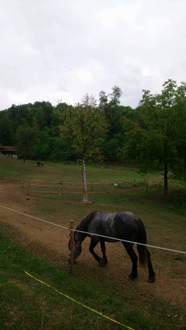 Pozemek Na prodej - Zagrebačka Brdovec - foto 3/10