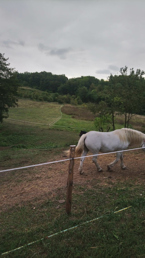 Pozemek Na prodej - ZAGREBAČKA BRDOVEC