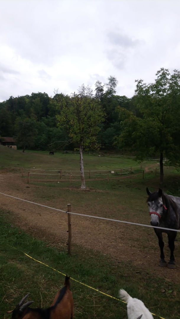 Pozemek Na prodej - ZAGREBAČKA BRDOVEC