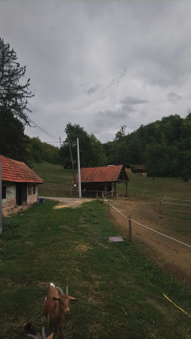 Pozemek Na prodej - ZAGREBAČKA BRDOVEC