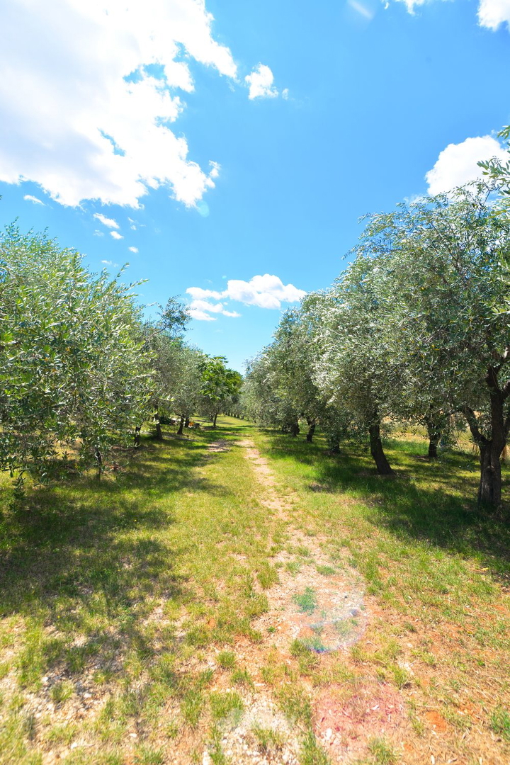 Dom Na sprzedaż - ISTARSKA UMAG