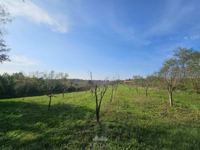 Parcela Naprodaj - Istarska Vižinada - foto 2/3