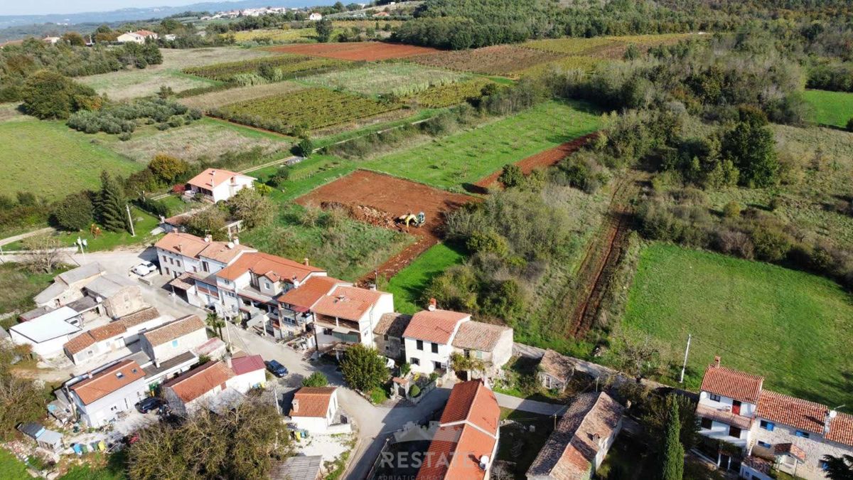 Terrain À vendre - Istarska Vižinada - foto 1/3