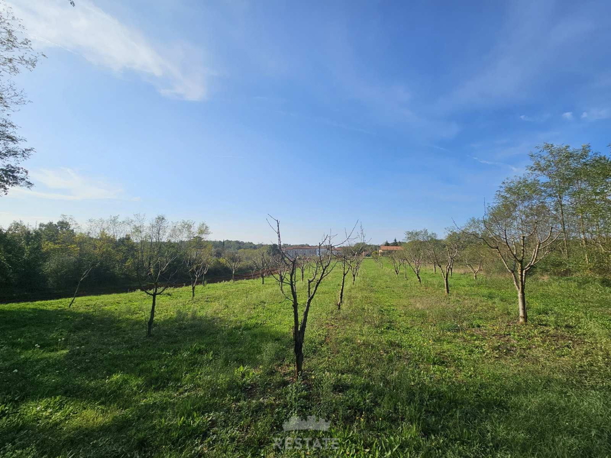 Terrain À vendre - Istarska Vižinada - foto 2/3