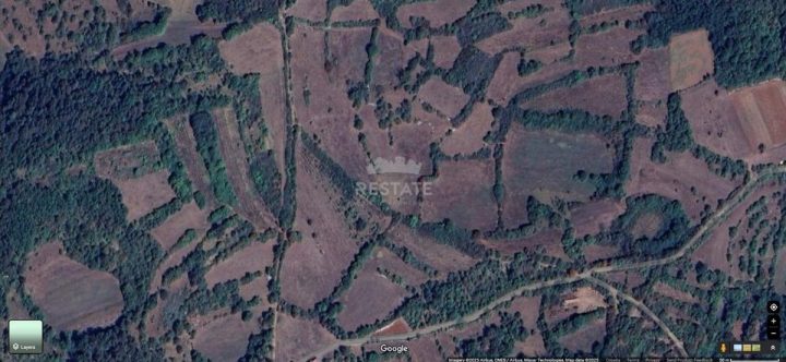 Land for sale 10000 m² – Grožnjan