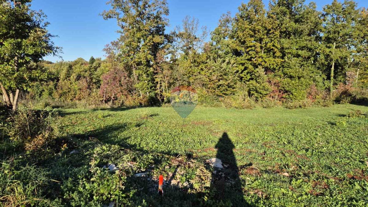 Land For sale - ISTARSKA SVETI PETAR U ŠUMI