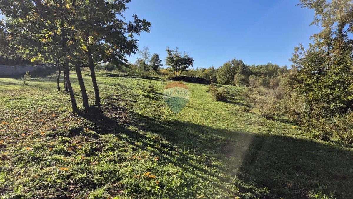 Land For sale - Istarska Sveti Petar U šumi - foto 2/13