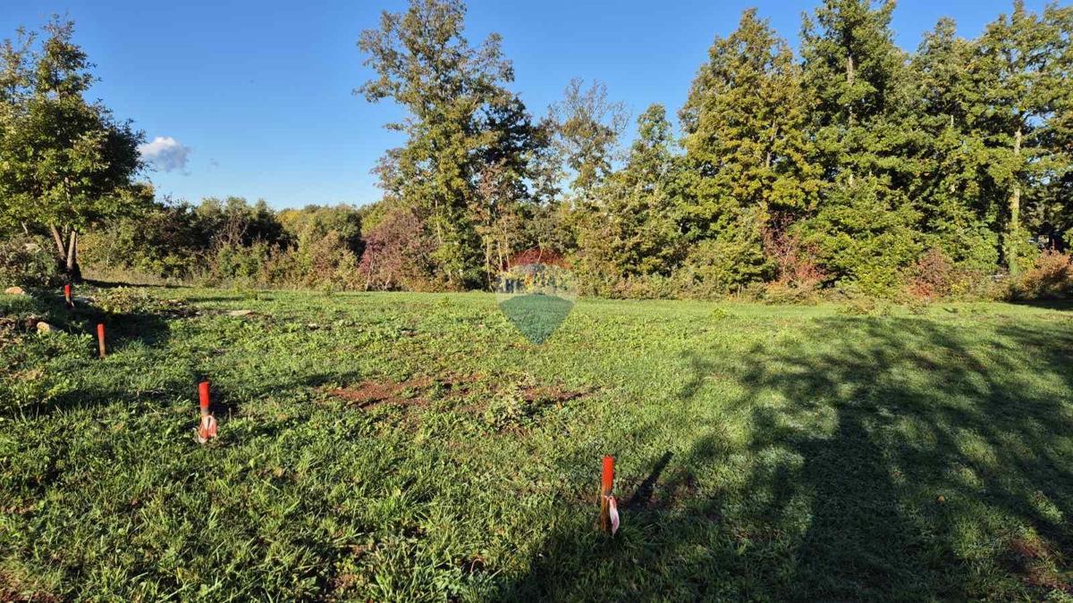 Land For sale - Istarska Sveti Petar U šumi - foto 4/13