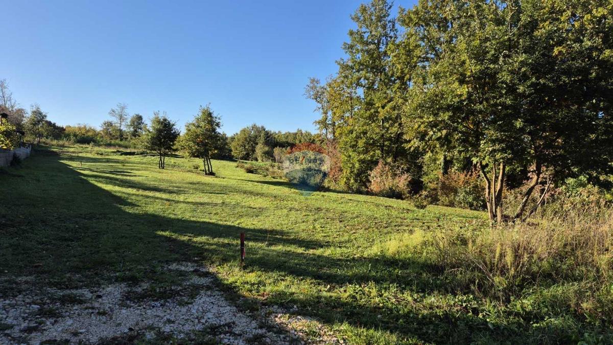 Land For sale - ISTARSKA SVETI PETAR U ŠUMI