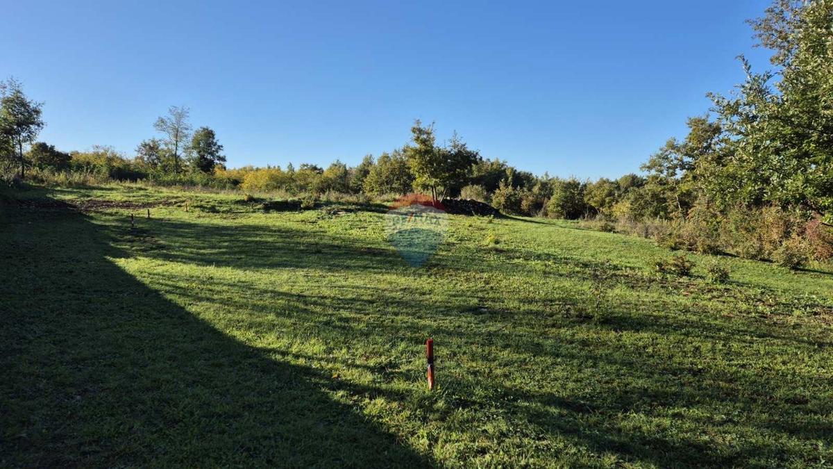 Land For sale - ISTARSKA SVETI PETAR U ŠUMI