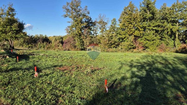 Grundstück Zu verkaufen - Istarska Sveti Petar U šumi - foto 3/12