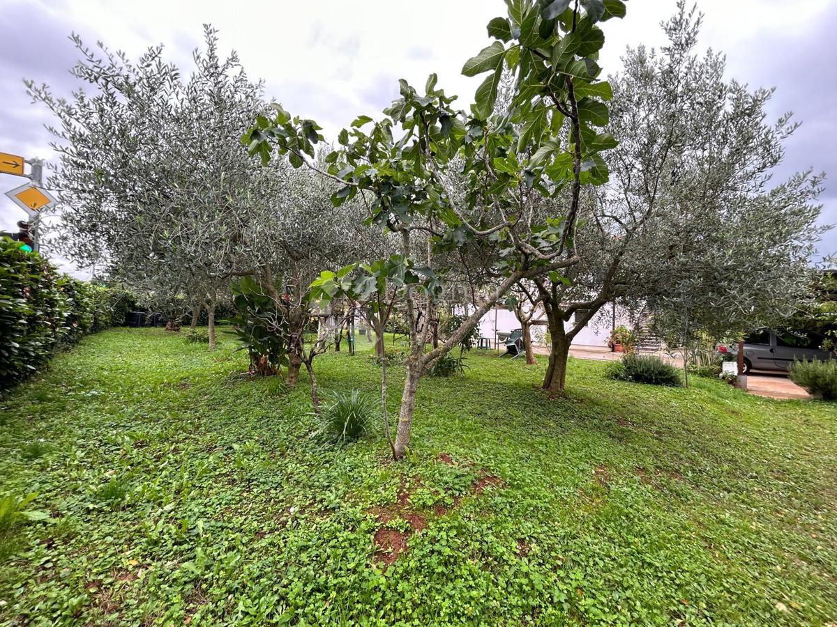 Haus Zu verkaufen - ISTARSKA UMAG