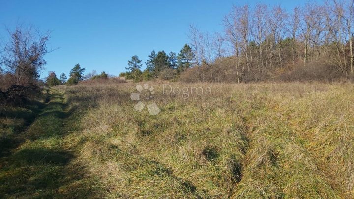 Grundstück zu verkaufen 25400 m² – Pazin