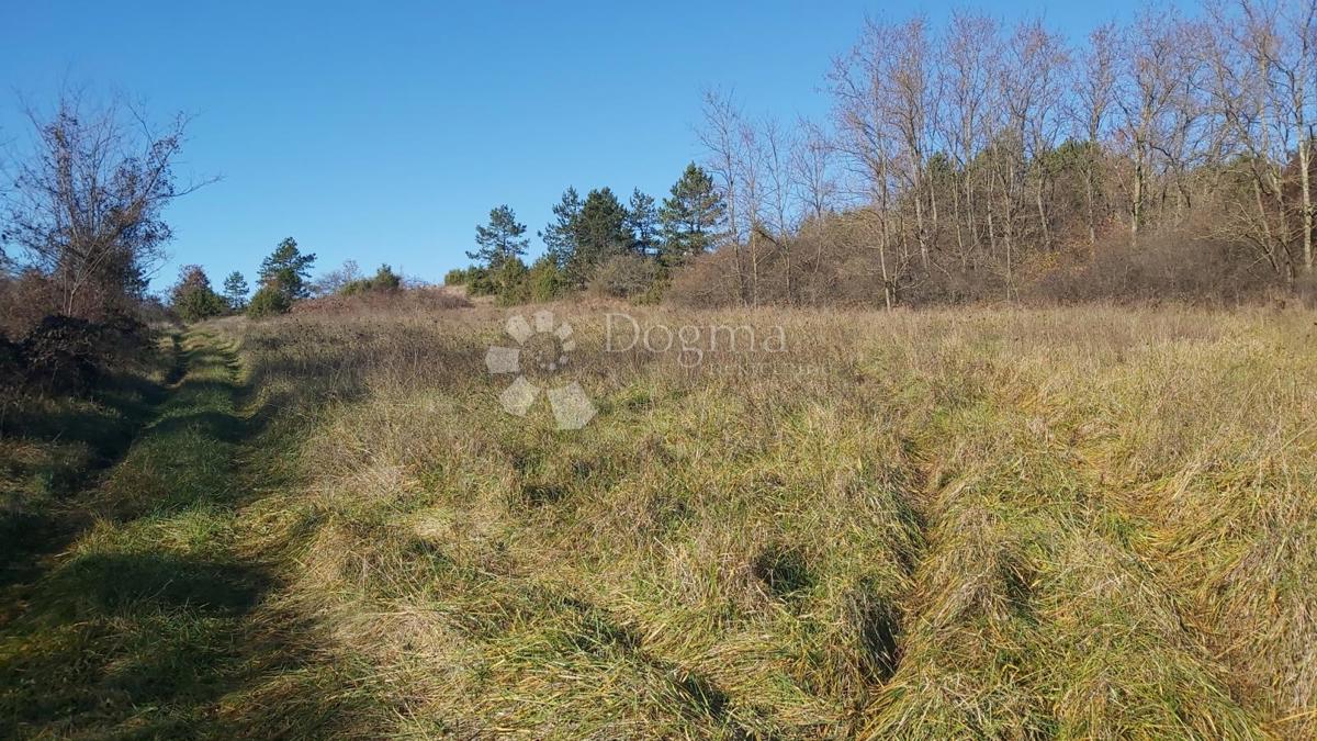Grundstück Zu verkaufen - Istarska Pazin - foto 1/10