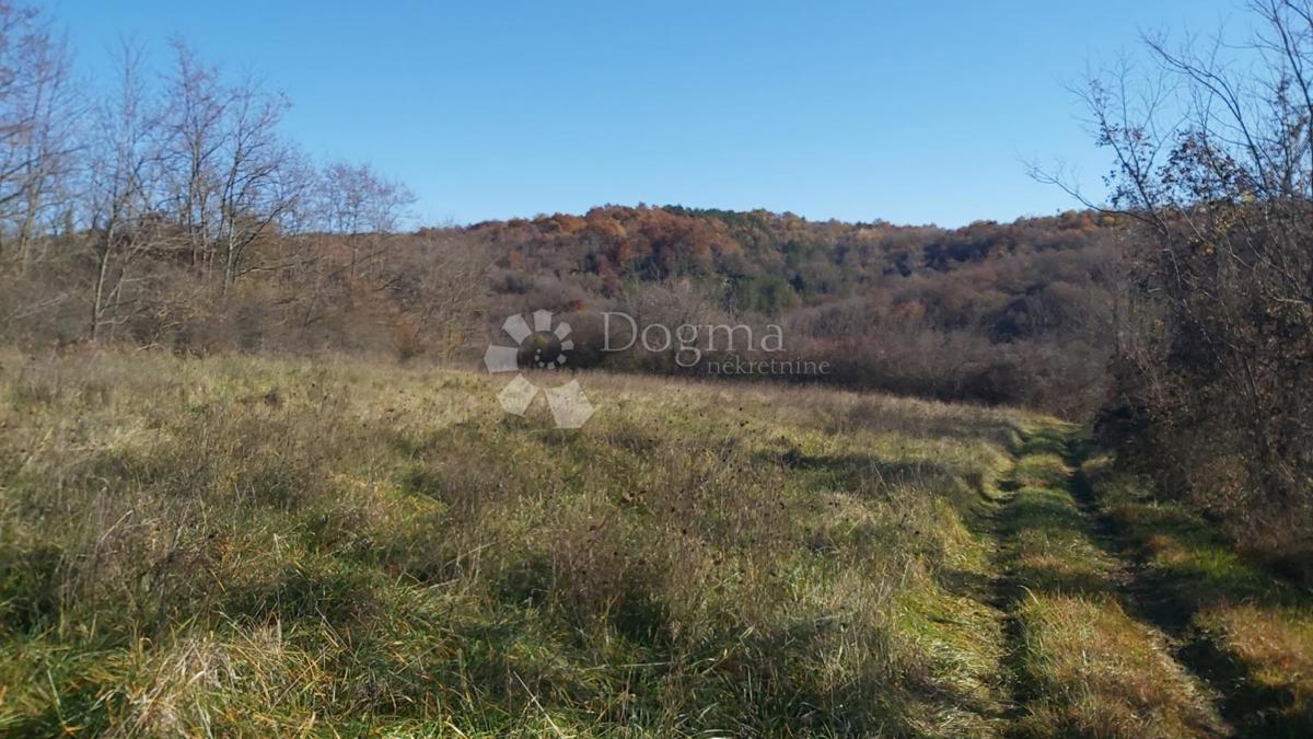 Grundstück Zu verkaufen - Istarska Pazin - foto 2/10