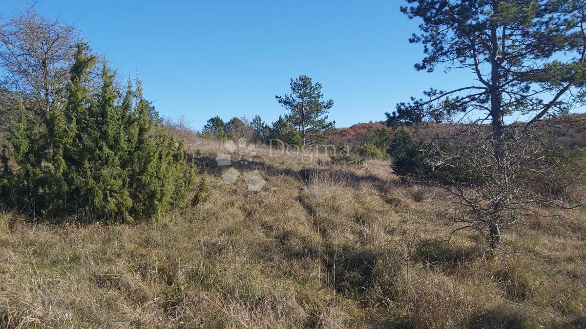 Grundstück Zu verkaufen - Istarska Pazin - foto 4/10