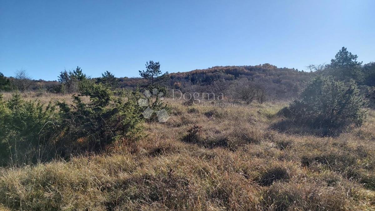 Grundstück Zu verkaufen - ISTARSKA PAZIN