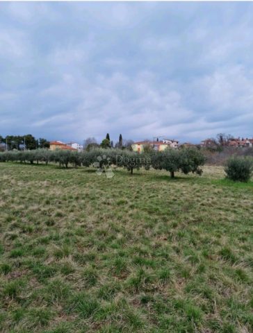 Land for sale 500 m² – Umag