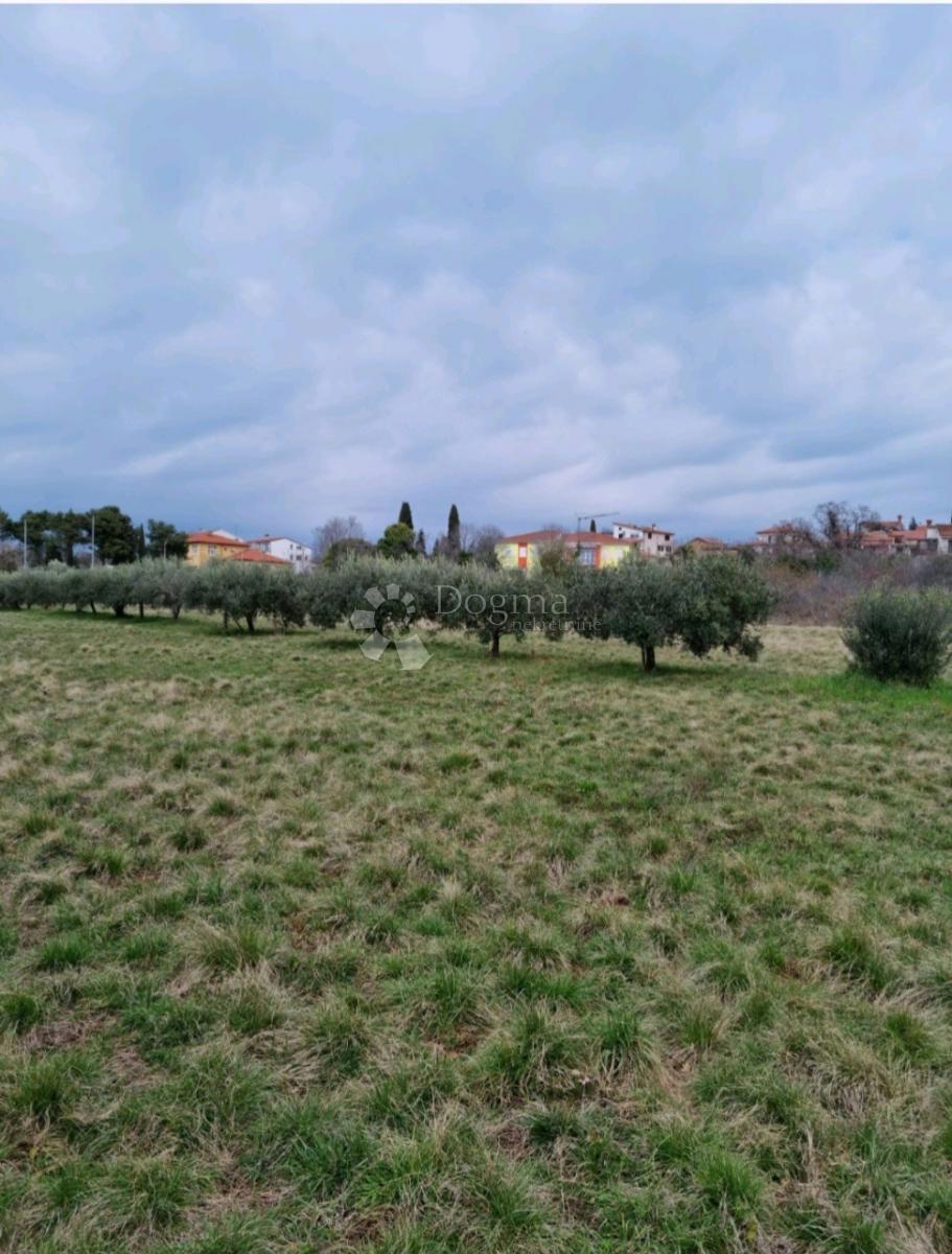 Parcela Na predaj - Istarska Umag - foto 1/5