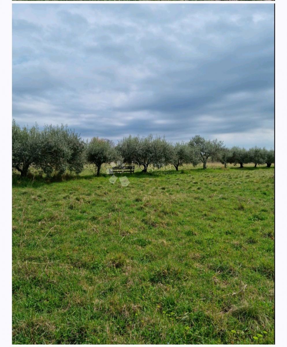 Parcela Na predaj - Istarska Umag - foto 3/5