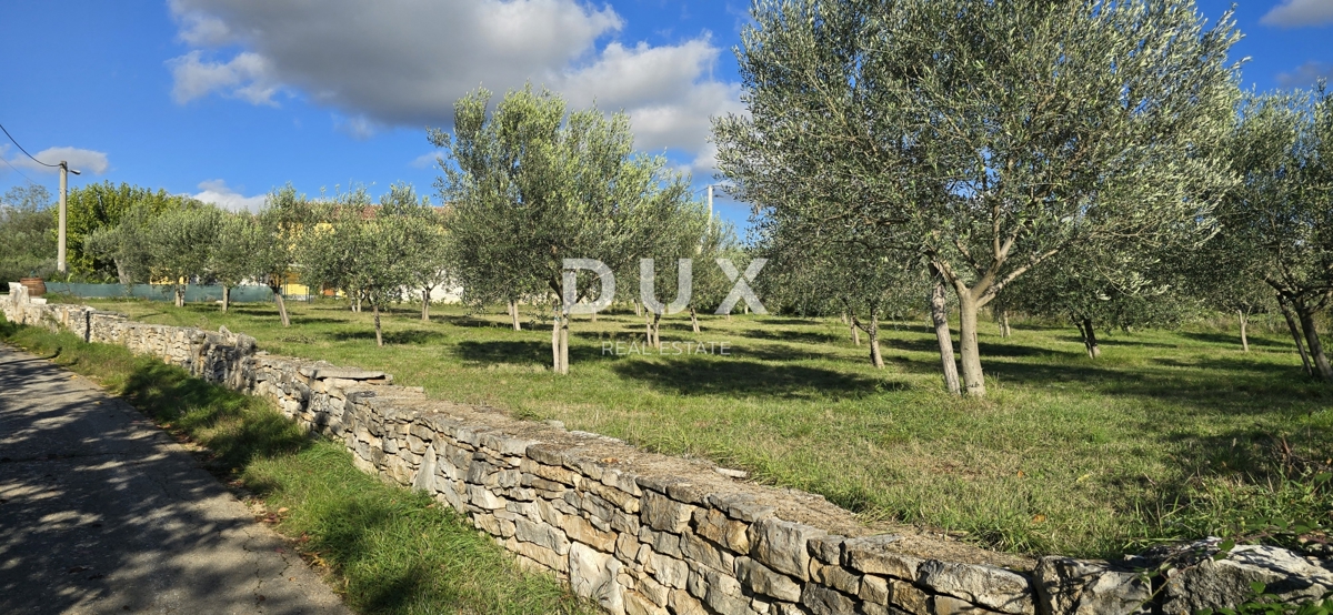 Grundstück Zu verkaufen - Istarska Poreč - foto 1/17