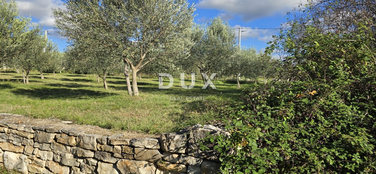 Grundstück Zu verkaufen - Istarska Poreč - foto 2/17