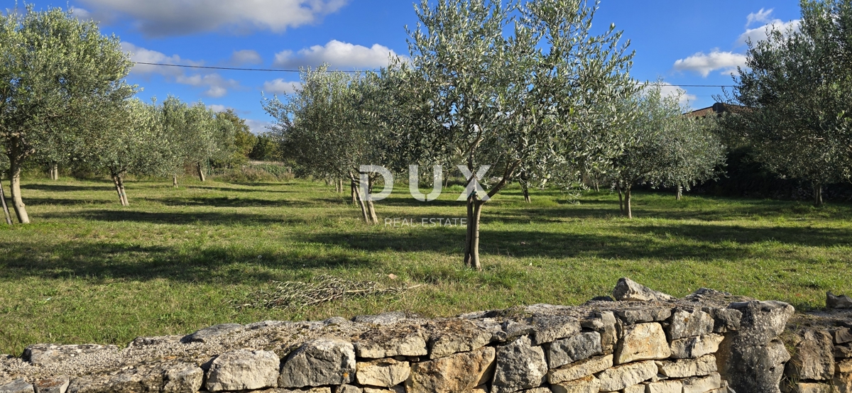 Grundstück Zu verkaufen - Istarska Poreč - foto 4/17