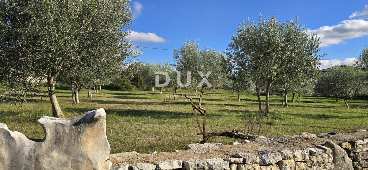 Grundstück Zu verkaufen - Istarska Poreč - foto 5/17