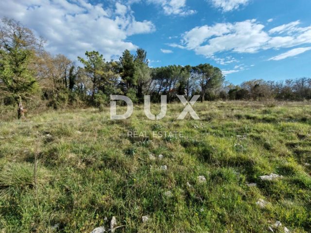 Land For sale - Zadarska Poličnik - foto 3/4