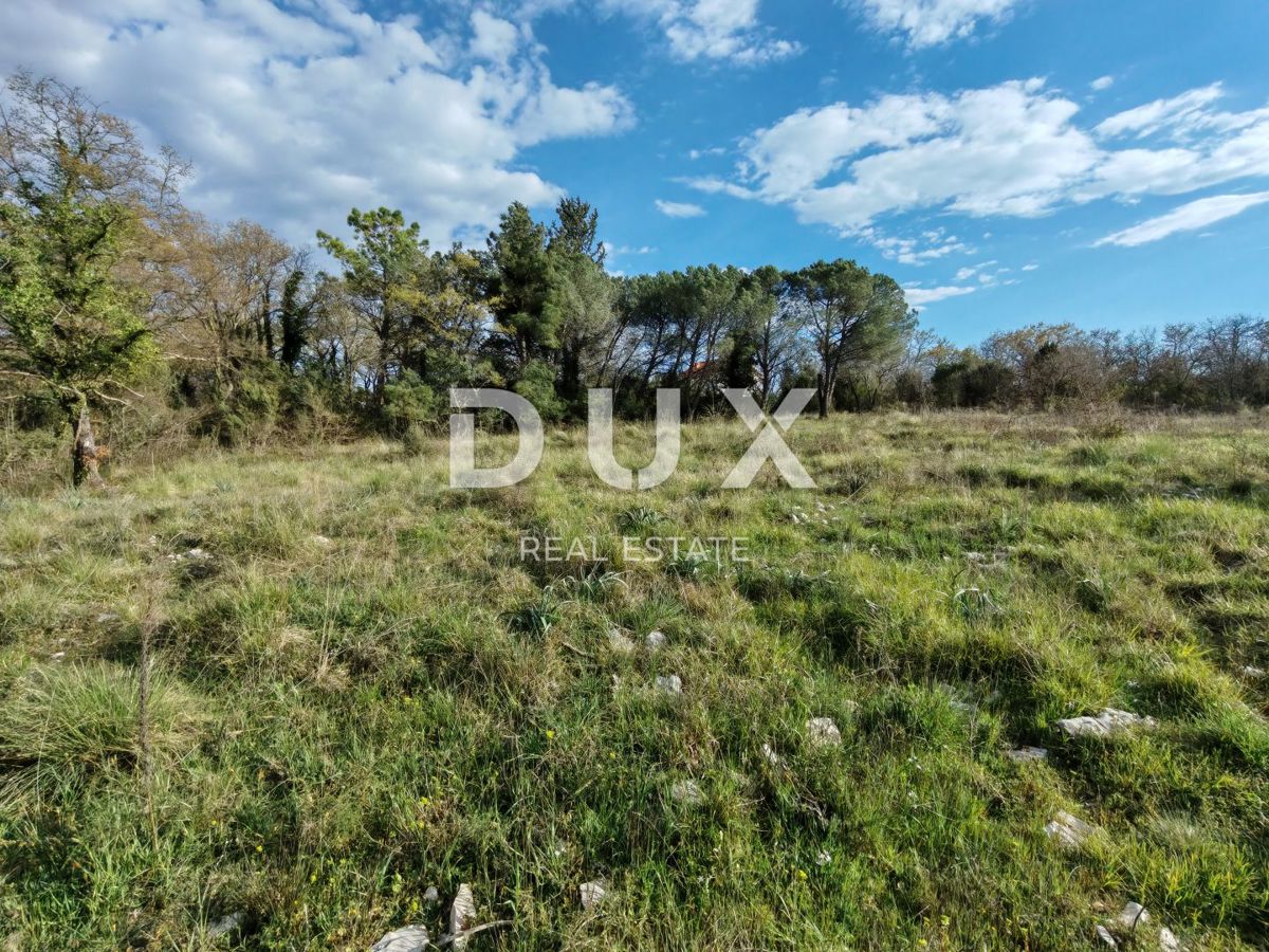 Land For sale - Zadarska Poličnik - foto 3/4
