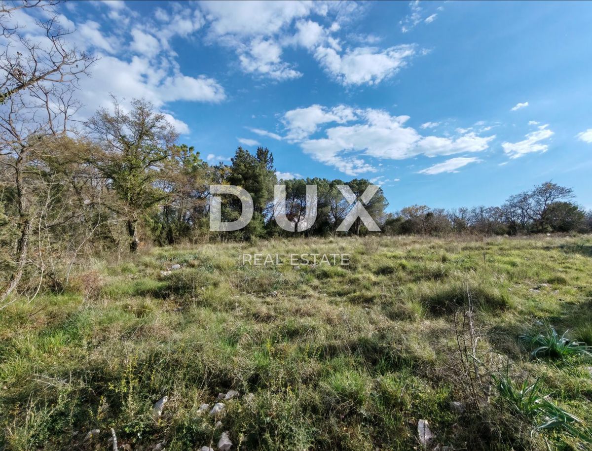 Land For sale - Zadarska Poličnik - foto 4/4
