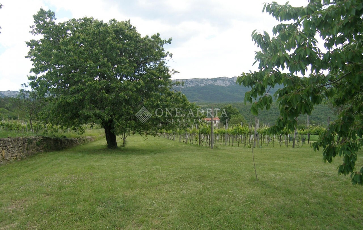 Pozemok Na predaj - Istarska Buzet - foto 3/4