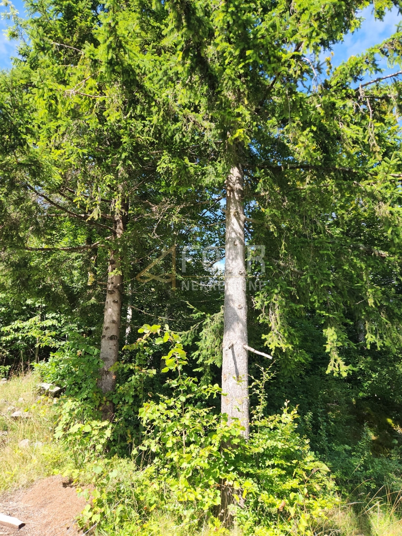 Land For sale - Primorsko-goranska Ravna Gora - foto 2/3
