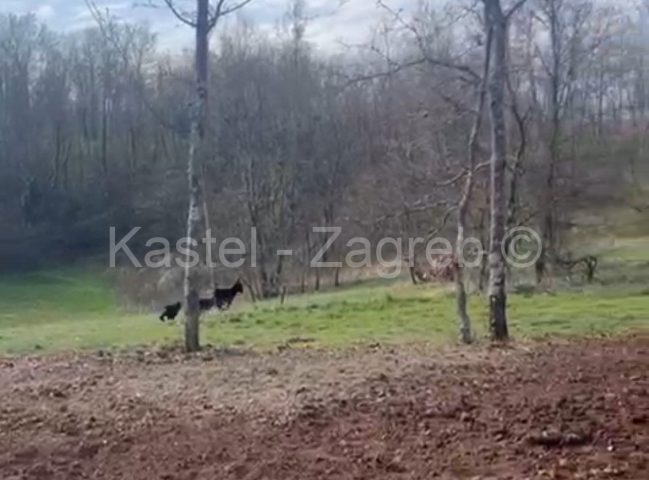Parcela Naprodaj - Istarska Pazin - foto 2/5